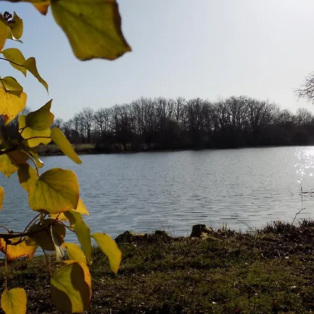 Tente Luxe Jacuzzi Au Bord Des Etangs ラグジュアリーテント Le Vigeant