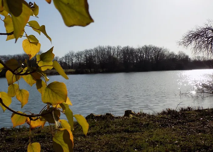 Tente Luxe Jacuzzi Au Bord Des Etangs Campismo de Luxo Le Vigeant
